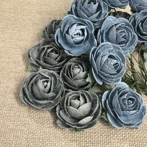 Hovedbilde PION, VINTAGE BL&Aring;