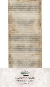 Hovedbilde AAA-L-COVER-05