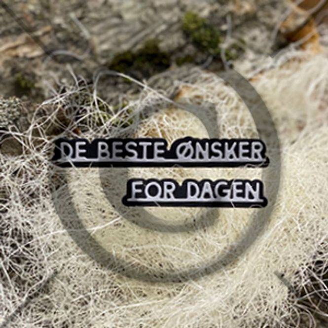 Hovedbilde SMÅ ORD 4 