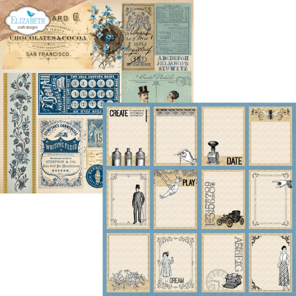 Delightful Discovery 12x12 Inch Patterned Cardstock (C041)