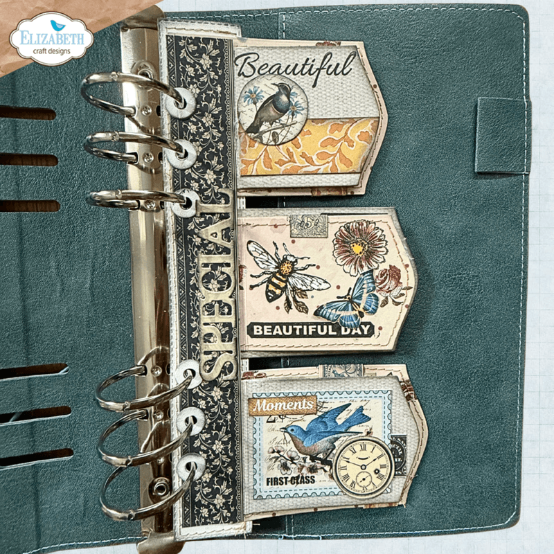 Delightful Discovery Die Pocket Page Inserts 1 (2335)