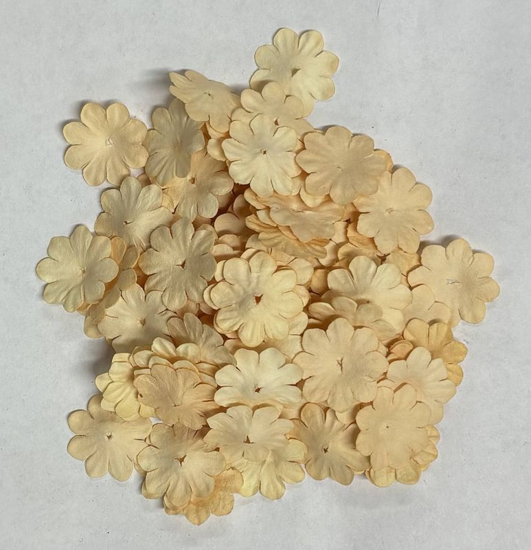 Mini Pappersblommor 20 mm 100 st Creme