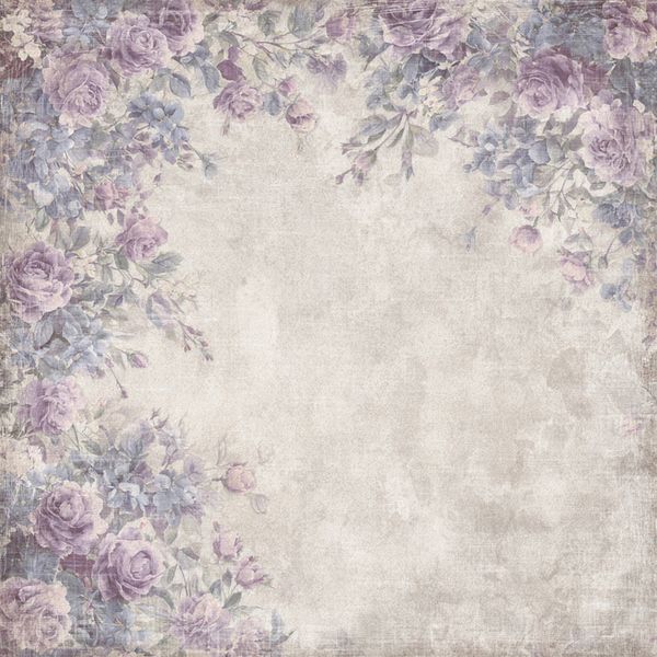Timeless Collection - 6x6