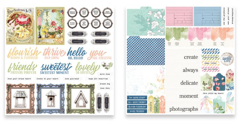 Field Notes Ephemera Pack (78pcs) 